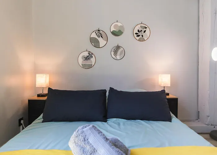 Апартаменты Cosy Les 3 Ecritoires, Hyper Centre, Wifi, Velora