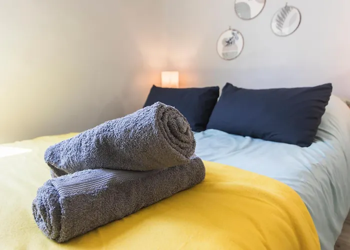 Appartement Cosy Les 3 écritoires, Hyper Centre, Wifi, Velora Tours